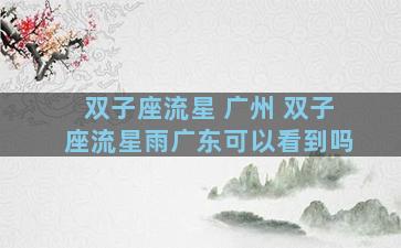 双子座流星 广州 双子座流星雨广东可以看到吗
